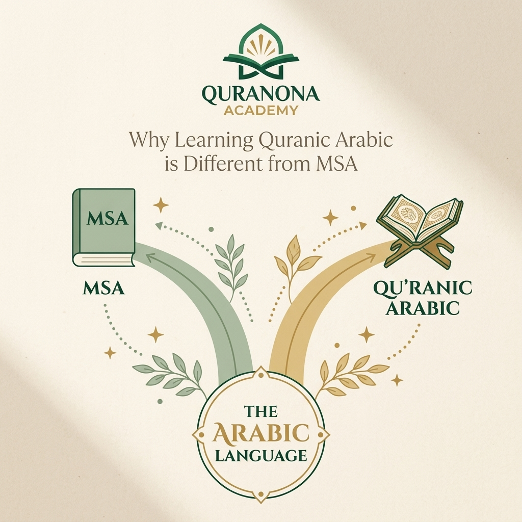 Two different Arabic learning paths — Modern Standard Arabic and Quranic Arabic — Quranona Academy